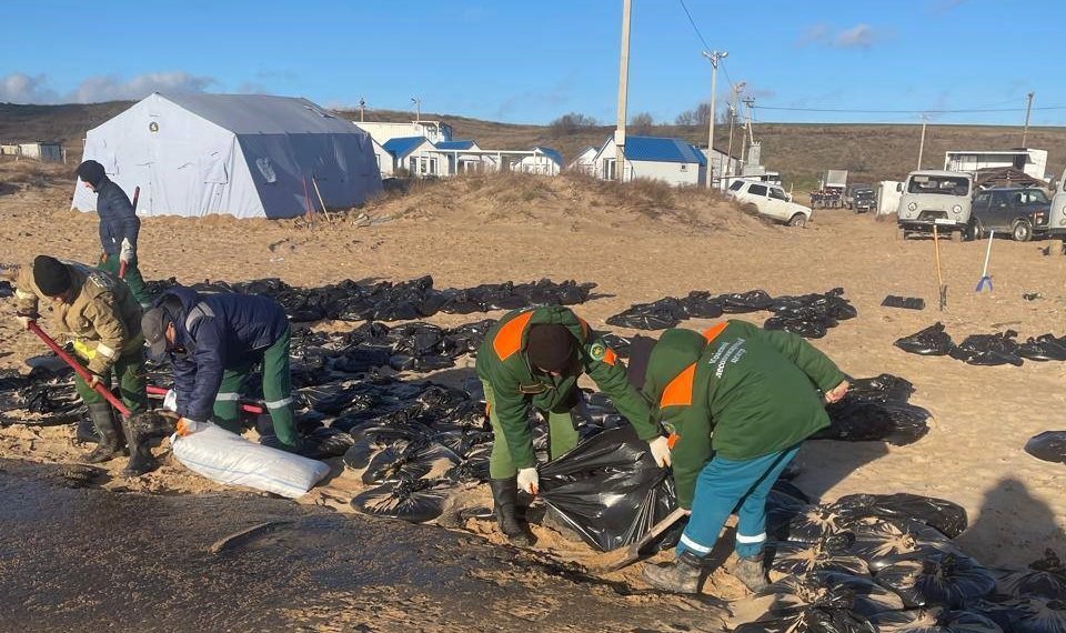 «Авито» выделит технику на устранение последствий экологической катастрофы в Черном море