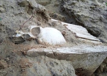 В Новосибирской области изучат заброшенное кладбище староверов на острове Чингис