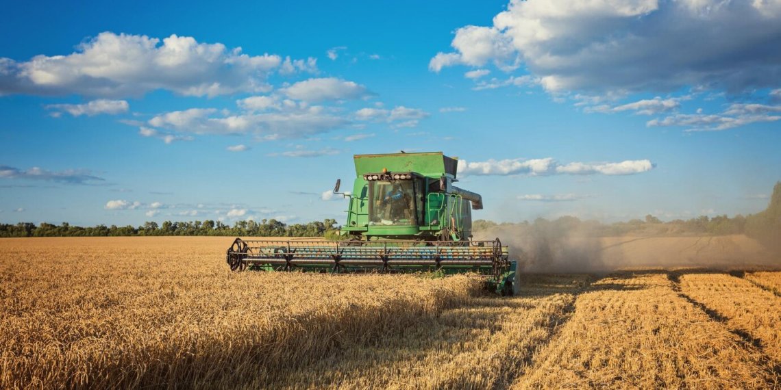 Молодым специалистам в сельском хозяйстве Новосибирской области предлагают выплаты до 500 тысяч рублей
