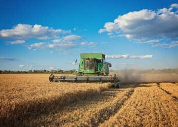 Молодым специалистам в сельском хозяйстве Новосибирской области предлагают выплаты до 500 тысяч рублей