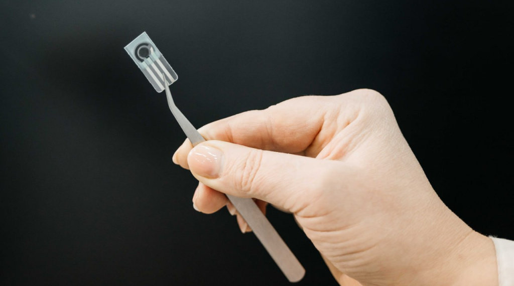 Томские ученые создали датчик для обнаружения пестицида в продуктах