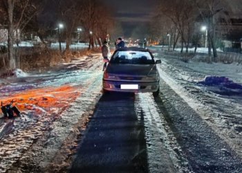 Смертельное ДТП в Новосибирской области: женщина лежала на дороге