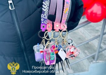 В Новосибирской области завершено строительство четырех домов для детей-сирот