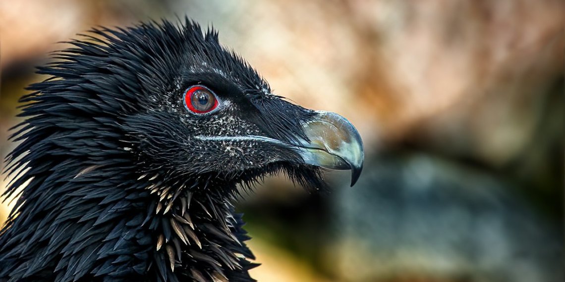 Стало известно, как будет работать новосибирский зоопарк в новогодние праздники