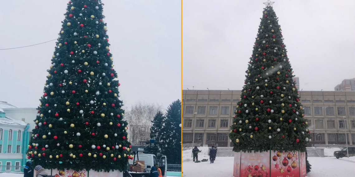 Две новые новогодние ели установили в Новосибирске