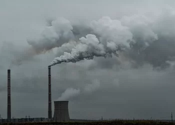 Режим «черного неба» ввели в Новосибирске