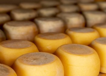 Кишечную палочку обнаружили в белорусском сыре бренда «Молочный мир»