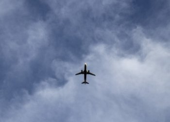 Минус 66 иностранцев: в Новосибирской области провели рейд по пресечению незаконной миграции