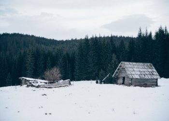 Деревня Абрамовка исчезнет с карты Новосибирской области