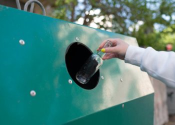 Новосибирская область закупит 2000 контейнеров для мусора в 2025 году