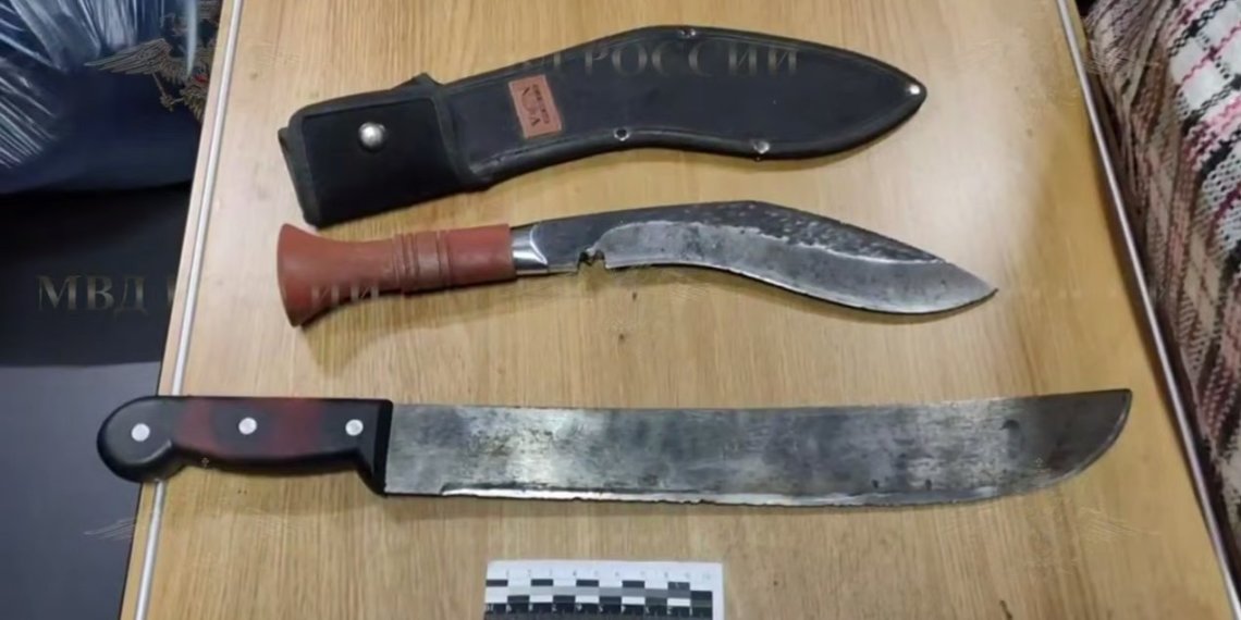 Пенсионер с мачете напал на попутчиков в поезде Томск — Адлер