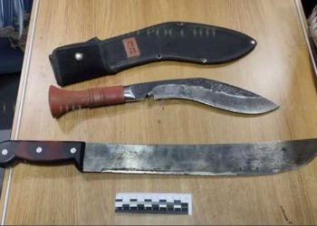 Пенсионер с мачете напал на попутчиков в поезде Томск — Адлер