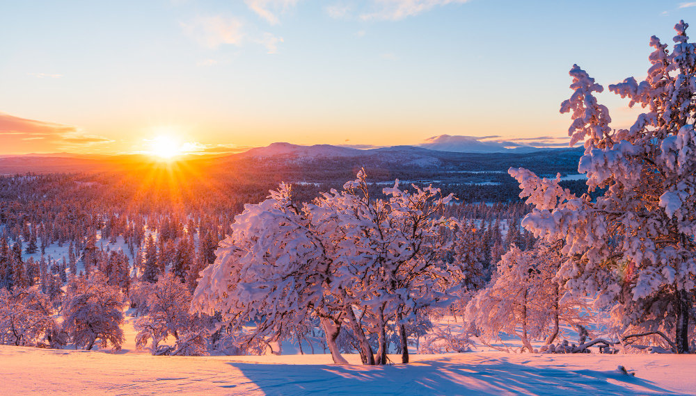 Какая погода ждет новосибирцев на следующей неделе после сильных холодов?