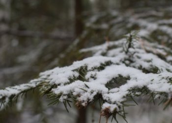 Как школьники будут учиться в мороз: напомнили жителям Новосибирска