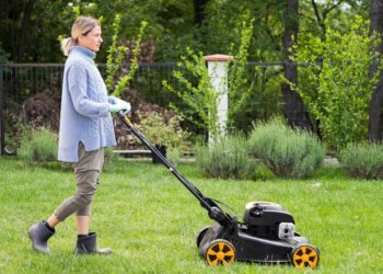 Запретить косить газон соседке новосибирцы не смогли даже через суд