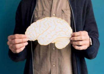 Ученые рассказали, какие клетки мозга стареют быстрее