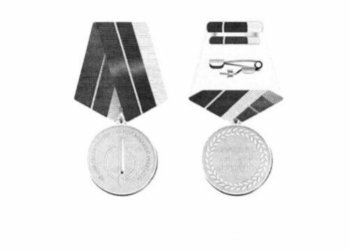 Нагрудный знак за помощь участникам СВО учредили в Новосибирске