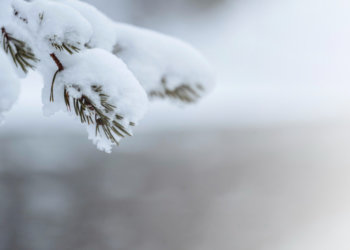 Какая погода ждет Новосибирск на выходных?