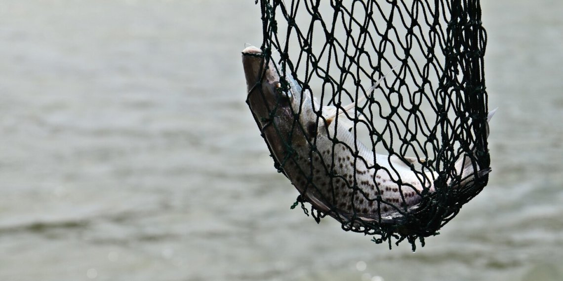 Зимняя рыбалка обернулась крупными неприятностями для жителя Новосибирской области