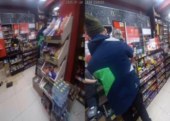 Крупный кот разнес стеллаж с коньяком в новосибирском алкомаркете