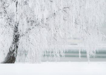 В Новосибирской области ухудшится погода из-за аномального потепления в России
