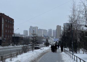 Новая весна: январь радует новосибирцев теплой погодой