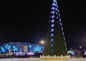 В Новосибирске готовятся расширить парк «Арена»