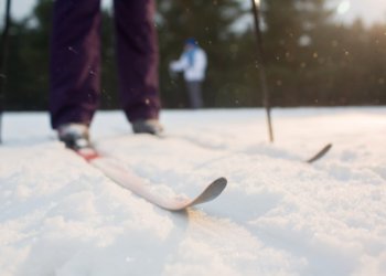 Лыжня России 2025 состоится в Новосибирске 8 февраля