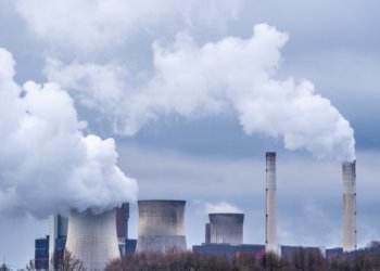 В 300 км от Новосибирска могут построить атомную электростанцию