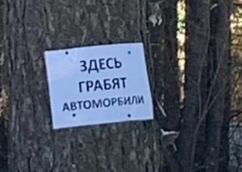 Сообщения о кражах из автомобилей появились на соснах в Заельцовском парке Новосибирска