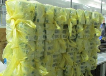 Похудения не будет: латвийскому водителю автобуса не дали провезти пол-центнера Оземпика в Москву