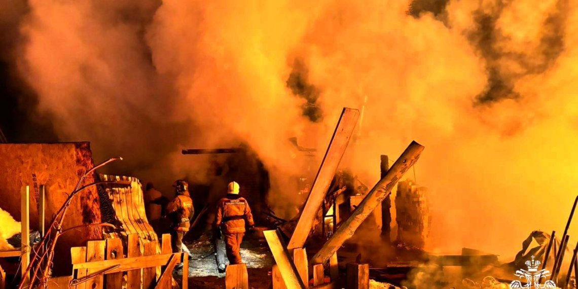 Новосибирские пожарные спасли 20 куриц и одну козу из сарая