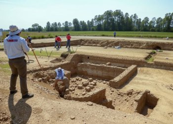Новый памятник эпохи бронзового века обнаружили в Новосибирской области