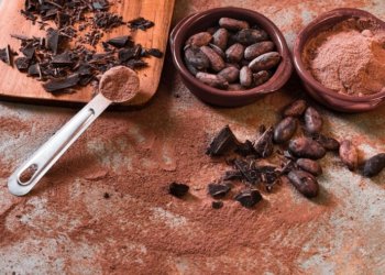 Повышение температуры на Земле приведет к снижению урожайности какао