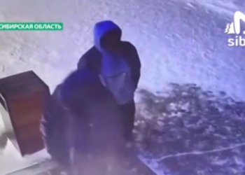 Двое вандалов разнесли елкой окно кофейни в Бердске