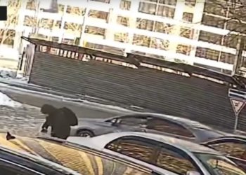 Инцидентом с выстрелом таксиста в клиента со стремянкой занялась полиция в Новосибирске