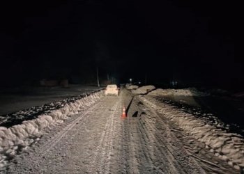 Пьяный новосибирец насмерть сбил пенсионера в деревне Тогучинского района