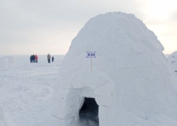 Фестиваль снежных хижин – новое «доступное» жилье на пляже «Бумеранг» в Новосибирске