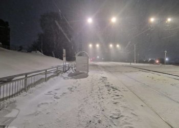 Под Новосибирском грузовой поезд сбил сибирячку, стоявшую на перроне