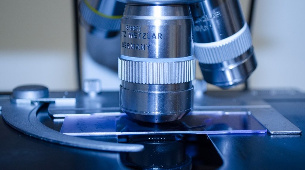 Ученые оценили вероятность попадания на Землю вирусов с метеоритов