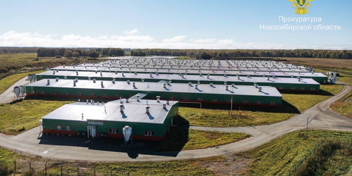 Мясокомбинат «Кудряшовский» возместил 119 миллионов рублей из-за массовой гибели рыбы