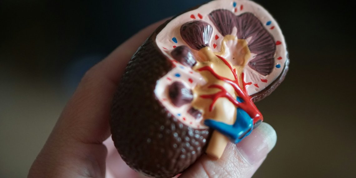 Американская вакцина от рака почек показала 100% эффективность