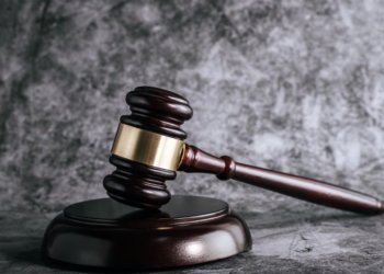 Житель Барнаула заплатит 10 тысяч рублей за использование изображения Чебурашки