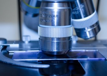 Ученые выявили два белка, связанных со стойкостью рака легких к химиотерапии