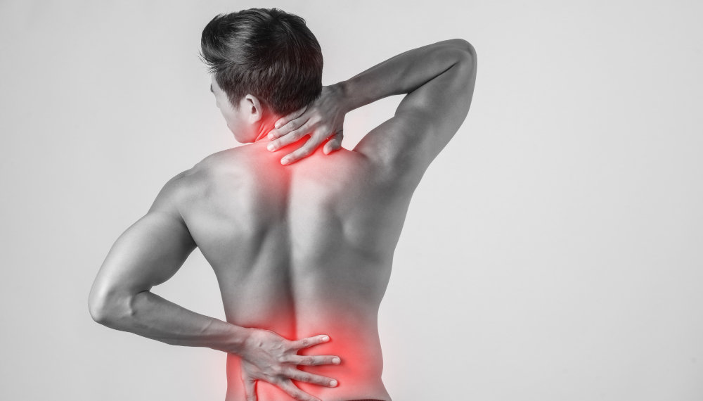 Ученые выявили роль серотонина при восстановлении после травм спинного мозга