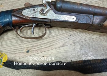 Браконьер заплатит полмиллиона за убийство лося под Новосибирском