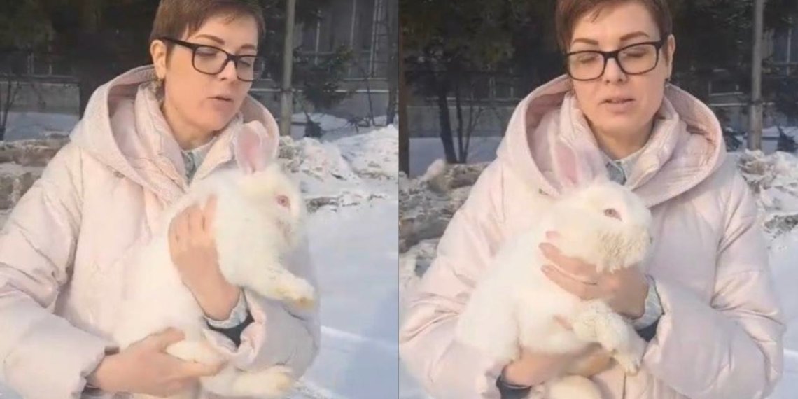 Кролика-беглеца поймали в новосибирском Академгородке