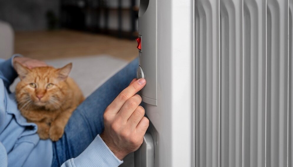 ФАС обязала исключить 1,1 млрд рублей из расчета ЖКХ в Новосибирске