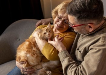 В Госдуме предложили ввести пособие на содержание животных для пенсионеров
