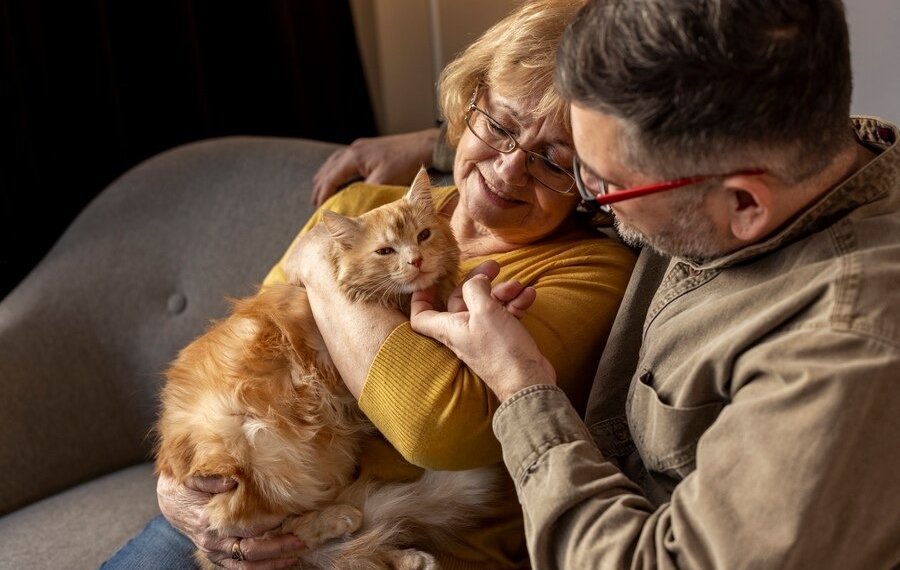 В Госдуме предложили ввести пособие на содержание животных для пенсионеров